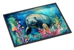 Manatee Doormat Front Door Mat Indoor Outdoor Rugs for Entryway, Non Slip Washable Low Pile, 24H X 36W