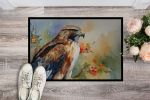 Hawk Doormat Front Door Mat Indoor Outdoor Rugs for Entryway, Non Slip Washable Low Pile, 24H X 36W