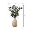 15' Artificial Olive Plant in Wood Finish Ceramic Vase â€“ Tabletop Decorative Accent